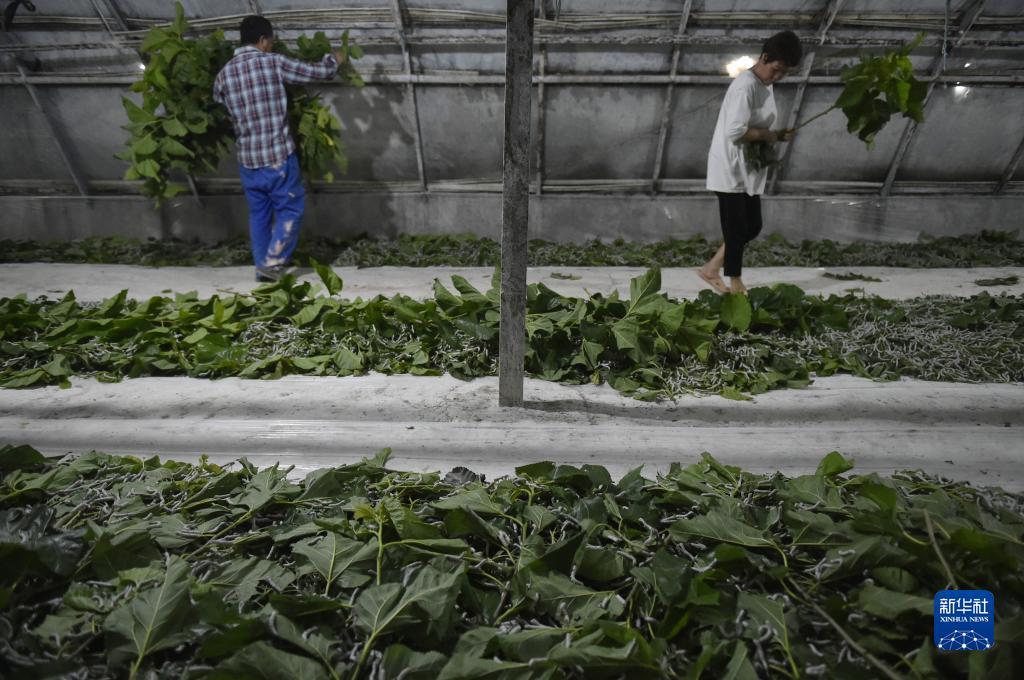 永利网注册网址